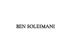 shop-living-room-furniture-at-ben-soleimani