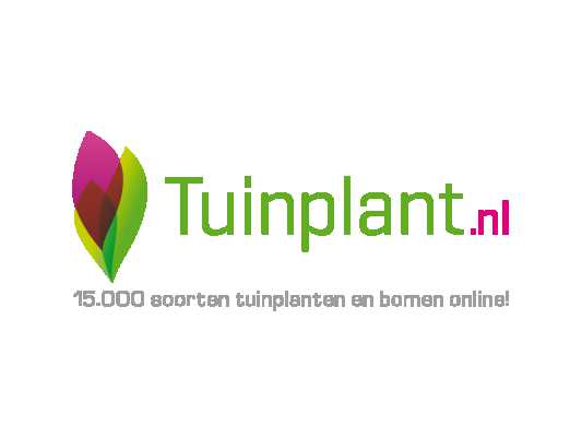 exclusive-tuinplantnl-deal-use-code